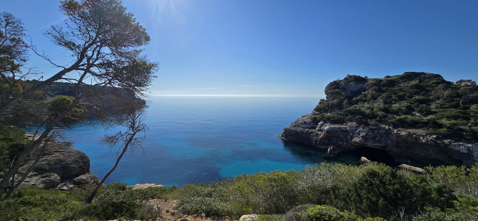 Vista de Caló des Moro con pino, acantilados y agua turquesa