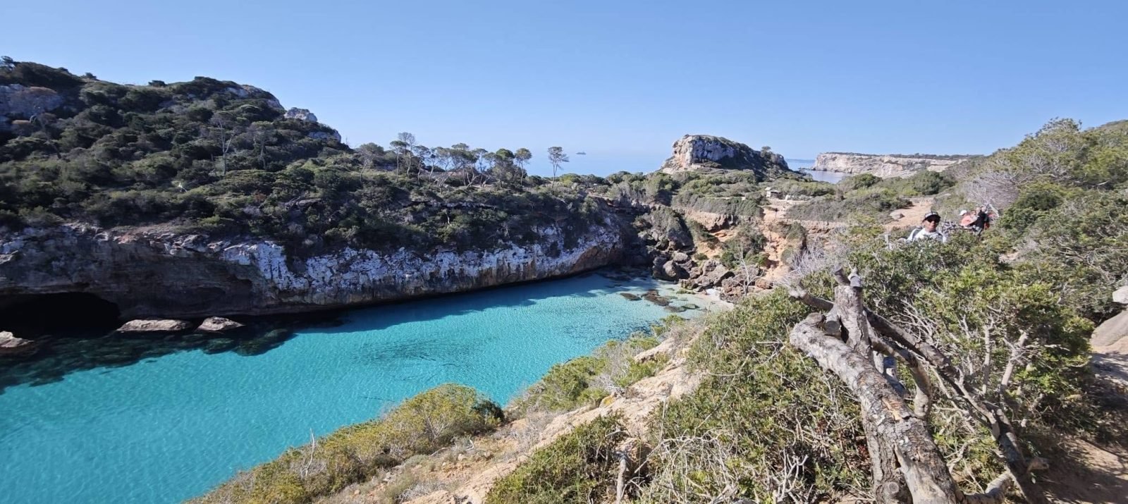 Cala de agua turquesa entre acantilados de Mallorca